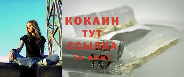 spice Новодвинск