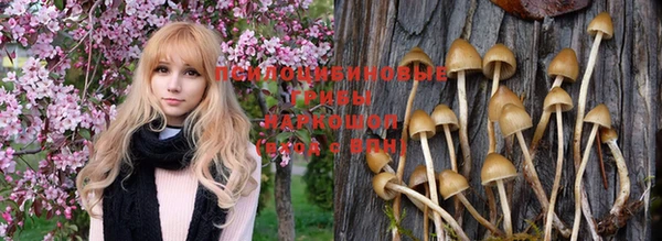 индика Карабаш