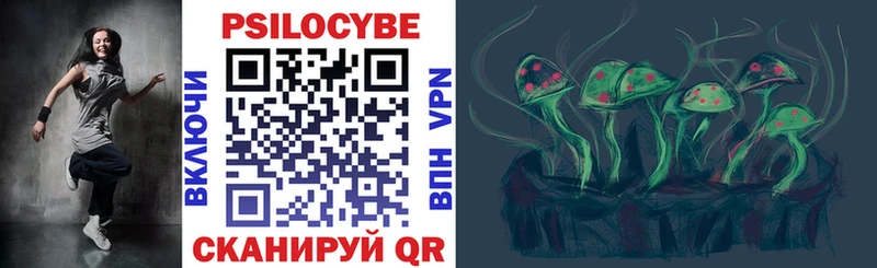 где найти   Тихвин  Псилоцибиновые грибы мицелий 